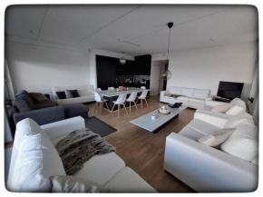 High class living in TAMPERE PENTHOUSE 84 square, free parking Tampere